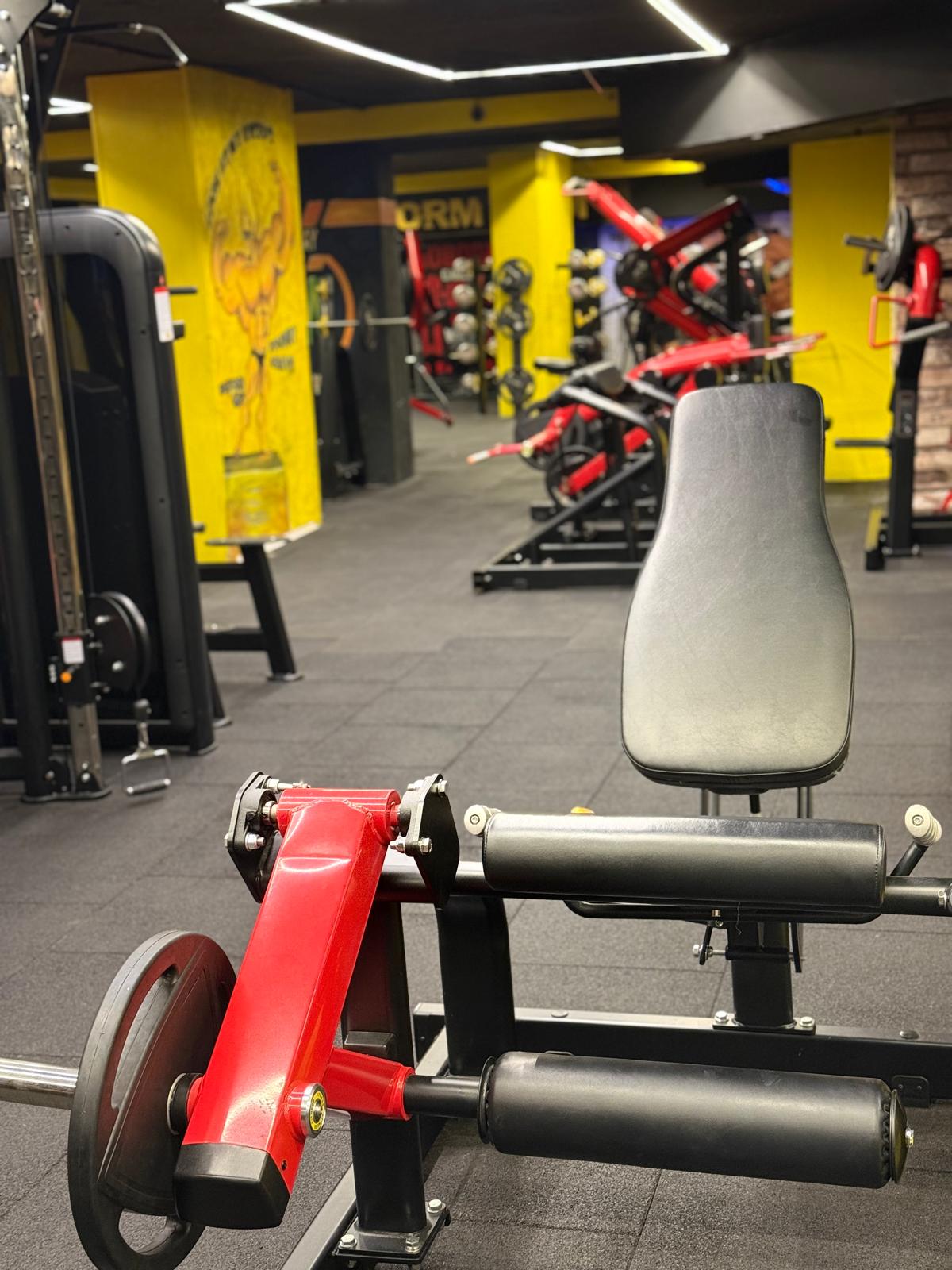 Bacak çalışma makineleri - BestForm Gym Adana Seyhan spor salonu